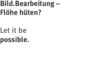 Bild.Bearbeitung –  Flöhe hüten?   Let it be  possible.